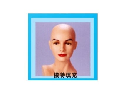 模特填充